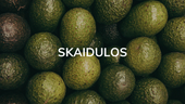 skaidulos